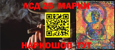 трава Гатчина