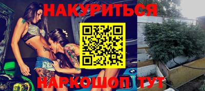 трава Гатчина