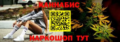 трава Гатчина