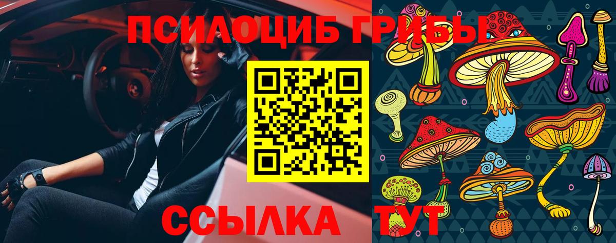Галлюциногенные грибы GOLDEN TEACHER Сосновоборск